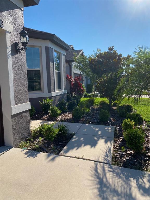 A concrete walkway leads past a landscaped garden bed toward the side of a house — 11723 BRIGHTON KNOLL LOOP, RIVERVIEW, FL