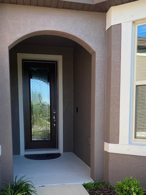 An arched entryway leads to a dark brown front door with a decorative glass insert — 11723 BRIGHTON KNOLL LOOP, RIVERVIEW, FL