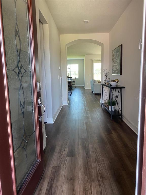 A view from an entryway into a hallway with dark wood-look flooring and an archway — 11723 BRIGHTON KNOLL LOOP, RIVERVIEW, FL