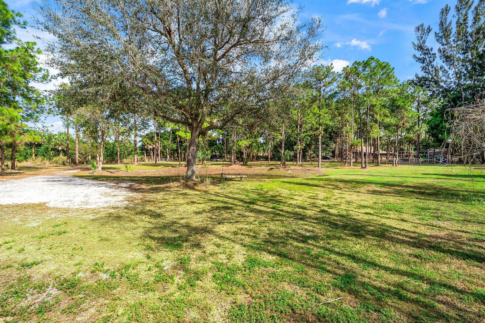 A large grassy yard features a prominent tree, a small pond, and surrounding pine trees — 2195 F Road, FL 33470, FL