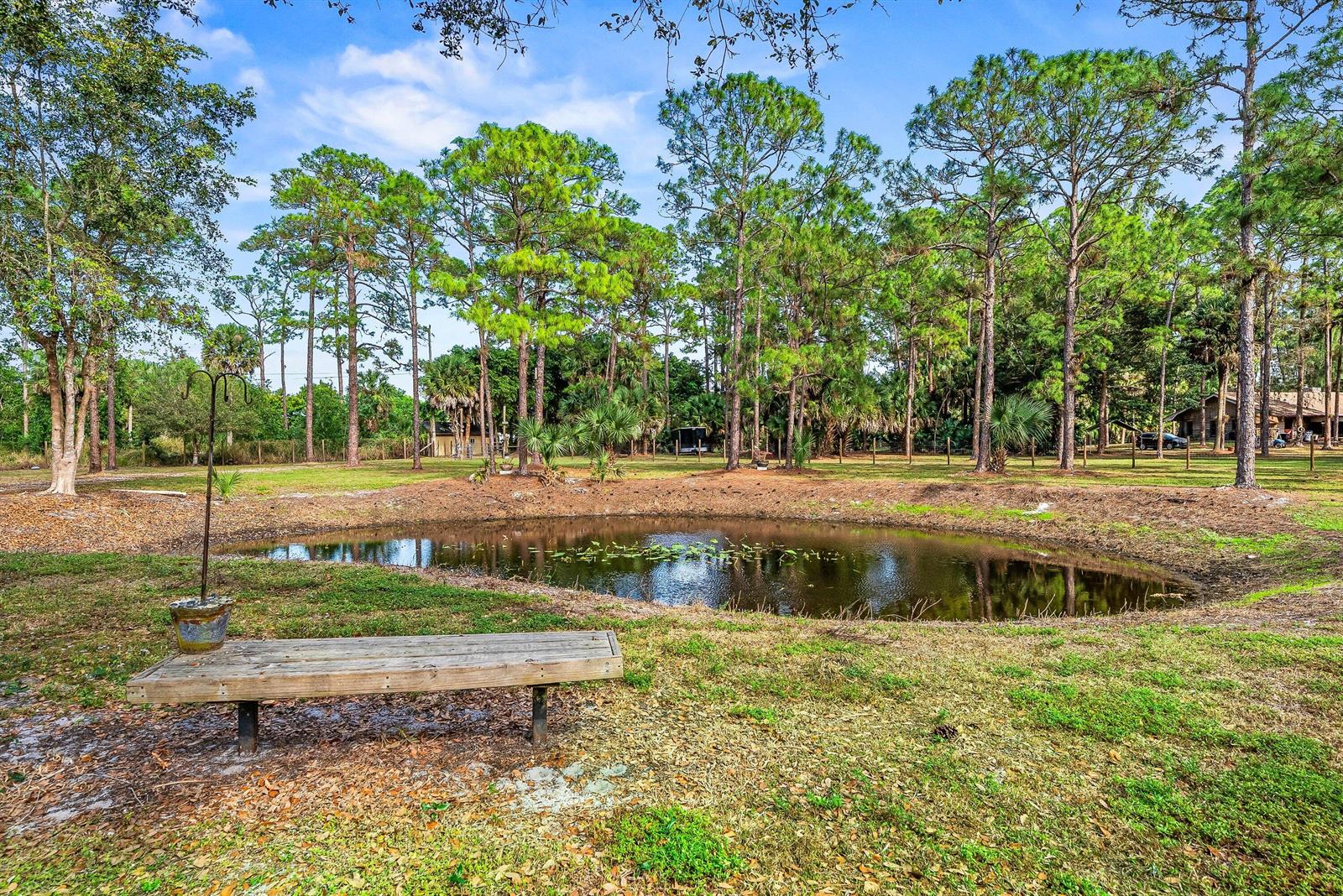 A wooden bench sits beside a small pond in a grassy yard with pine trees — 2195 F Road, FL 33470, FL
