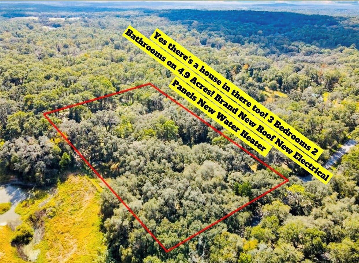 An aerial view shows a wooded lot outlined in red with a house hidden inside — 26250 Blackjack Street, FL 34601, FL