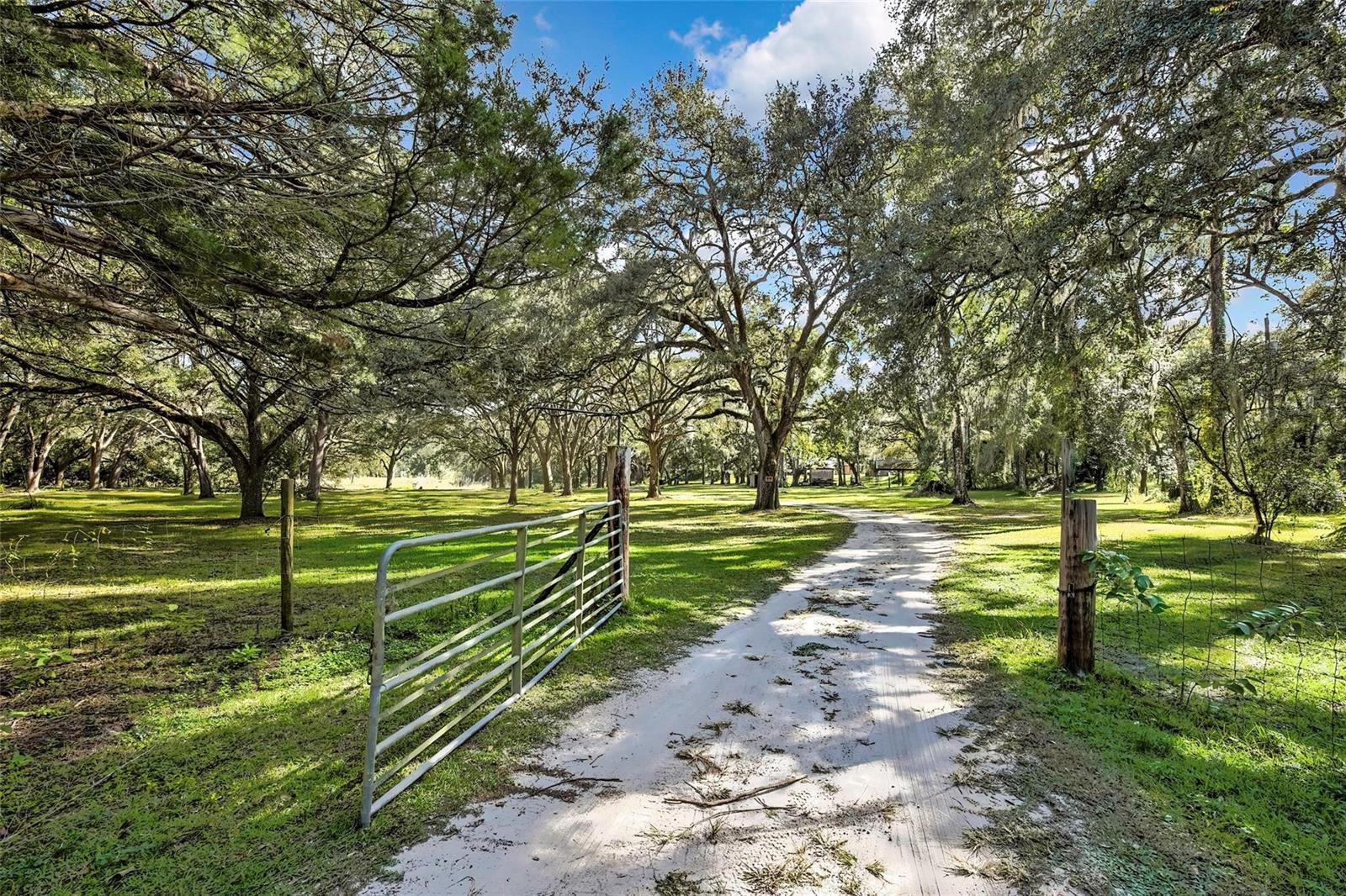 A dirt driveway leads through a metal gate into a grassy, tree-filled rural property — 26250 Blackjack Street, FL 34601, FL