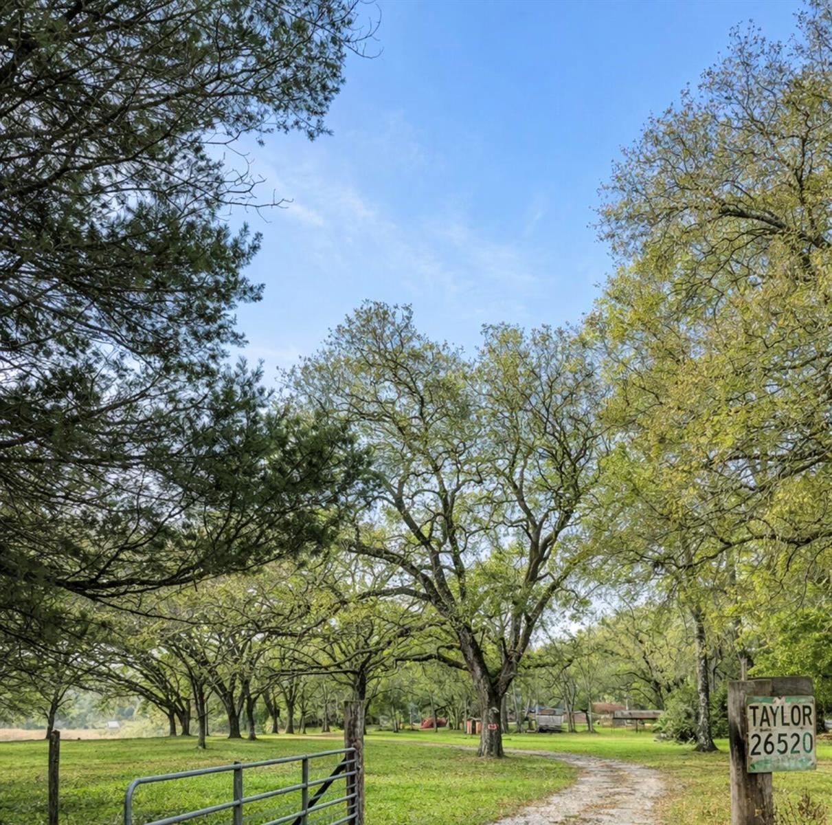 A dirt driveway leads through a grassy field lined with trees toward a distant property — 26250 Blackjack Street, FL 34601, FL