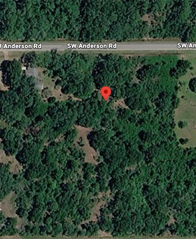 This is an aerial map view showing a wooded lot located along a road — 2669 SW ANDERSON ROAD, AVON PARK, FL