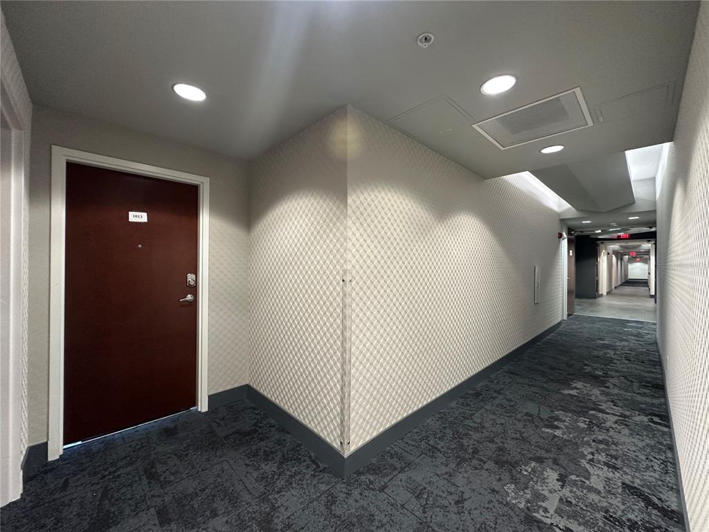 A hallway with patterned wallpaper, dark carpet, and a single door labeled 1013 — 155 S COURT AVENUE UNIT 1013, ORLANDO, FL