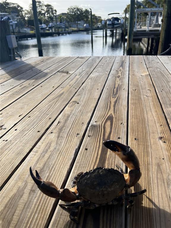 303 MORNINGSIDE DRIVE, PALM HARBOR, FL — photo 5 of 20
