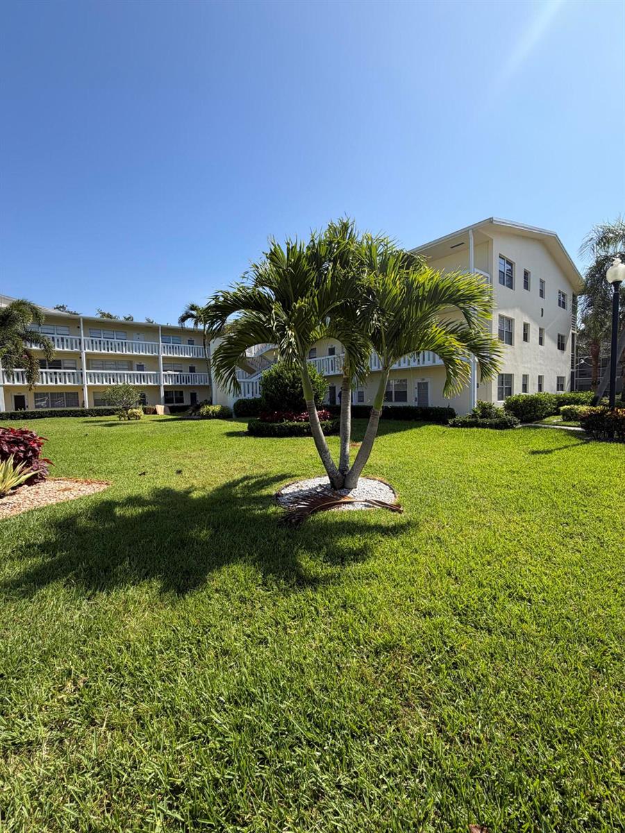 A multi-story apartment building stands behind a palm tree on a sunny, grassy lawn — 166 Dorset D, Boca Raton FL 33434, BOCA RATON, FL