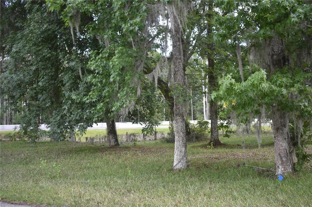 Lot 59 Blk C LEXINGTON CIRCLE