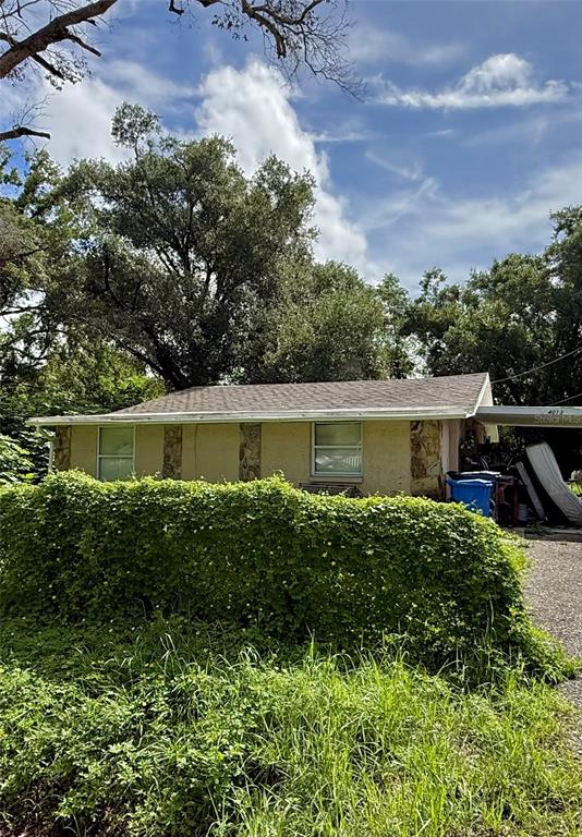 A single-story house with light-colored siding and stone accents sits behind a large overgrown hedge — 4013 WATSON ROAD, TAMPA, FL