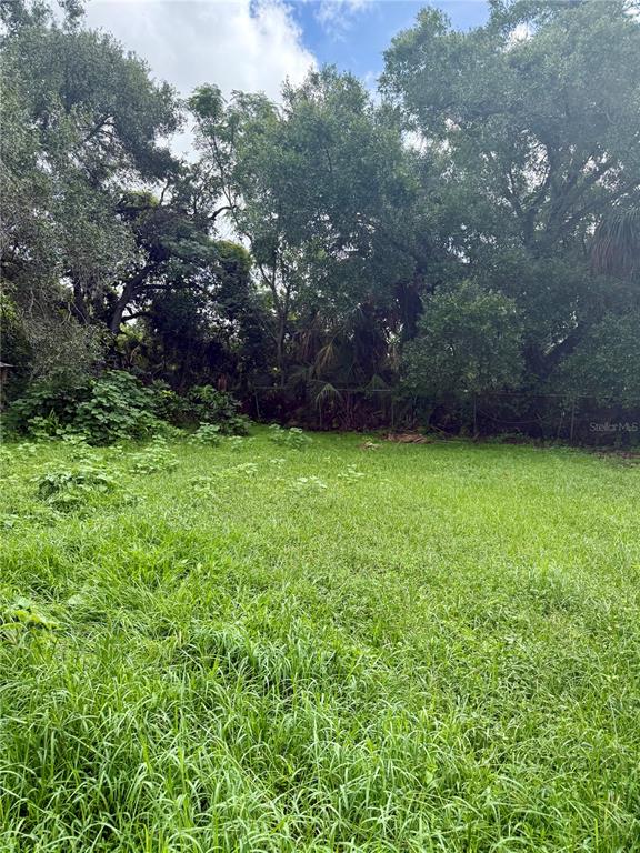 A grassy, overgrown backyard features a chain-link fence backed by dense trees and foliage — 4013 WATSON ROAD, TAMPA, FL