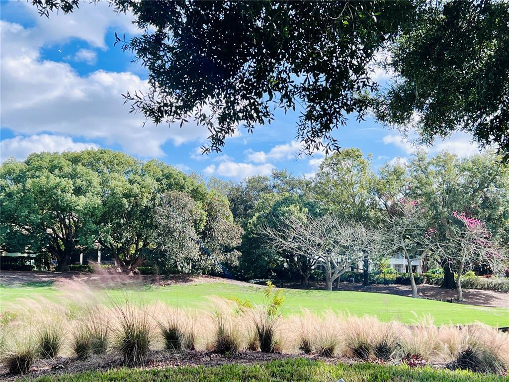 5001 LATROBE DRIVE, WINDERMERE, FL — photo 4 of 30