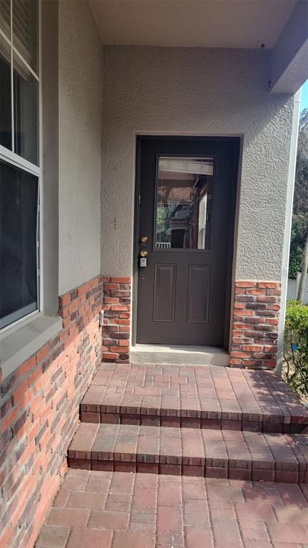 A dark front door with a glass panel sits above brick steps and a patio — 1443 HILLVIEW LANE, TARPON SPRINGS, FL