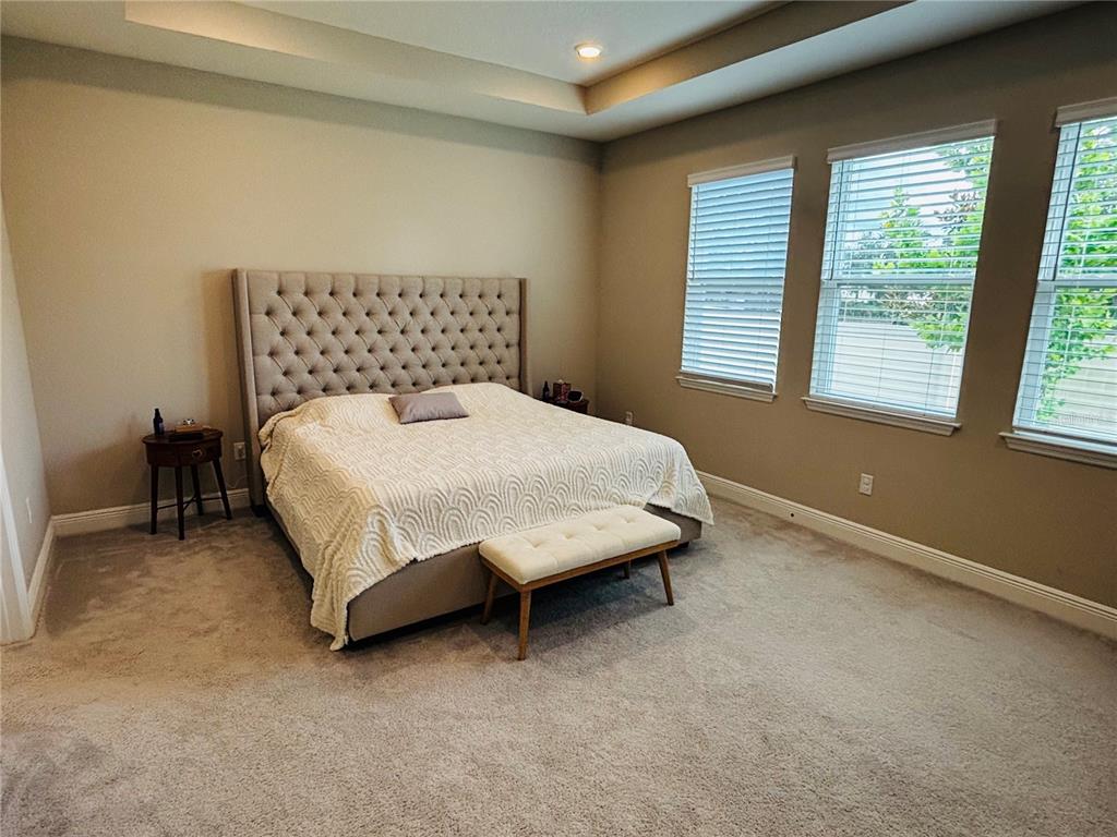 A bedroom features a tufted headboard, a bed with a patterned quilt, and three windows — 23302 SCAGLIONE DRIVE, LUTZ, FL
