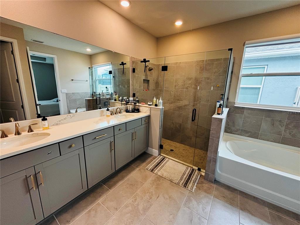 A bathroom features a double vanity with gray cabinets, a glass-enclosed shower, and a tub — 23302 SCAGLIONE DRIVE, LUTZ, FL