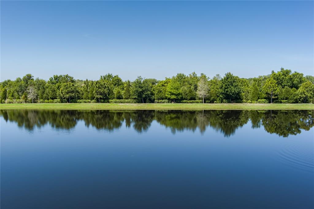 A calm lake reflects a dense line of green trees under a clear blue sky — 16121 61ST LANE E, PARRISH, FL