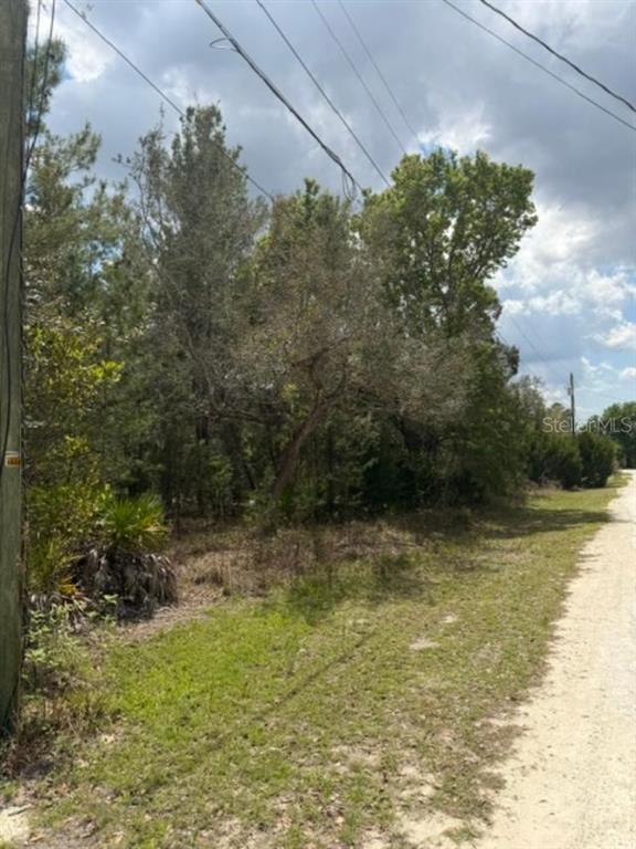 A dirt road runs alongside a wooded lot with various trees and vegetation — 0 BASTIAN COURT, WEEKI WACHEE, FL