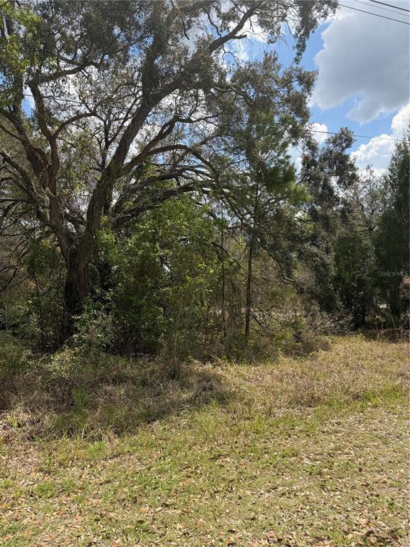 A wooded, undeveloped lot features mature trees and dry grass under a partly cloudy sky — 0 BASTIAN COURT, WEEKI WACHEE, FL