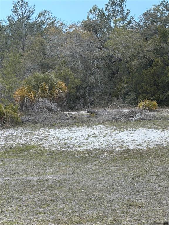 A grassy, sandy lot features scattered brush and a dense line of trees in the background — 0 BASTIAN COURT, WEEKI WACHEE, FL