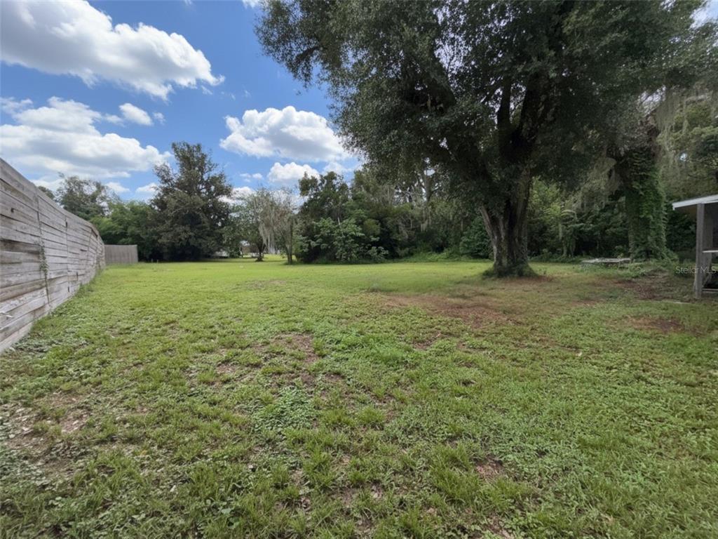 A large, grassy backyard features a wooden fence on the left and a mature tree — 37318 CARTER AVENUE, DADE CITY, FL