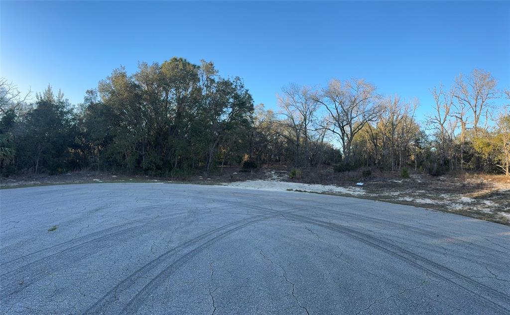 A paved cul-de-sac borders a wooded lot with sandy ground and scattered trees — 0 SW 147TH STREET ROAD, OCALA, FL