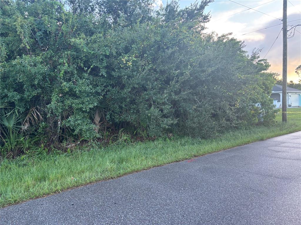 A dense thicket of trees and shrubs borders a paved road next to a utility pole — 1087 KENNWOOD AVENUE, PORT CHARLOTTE, FL