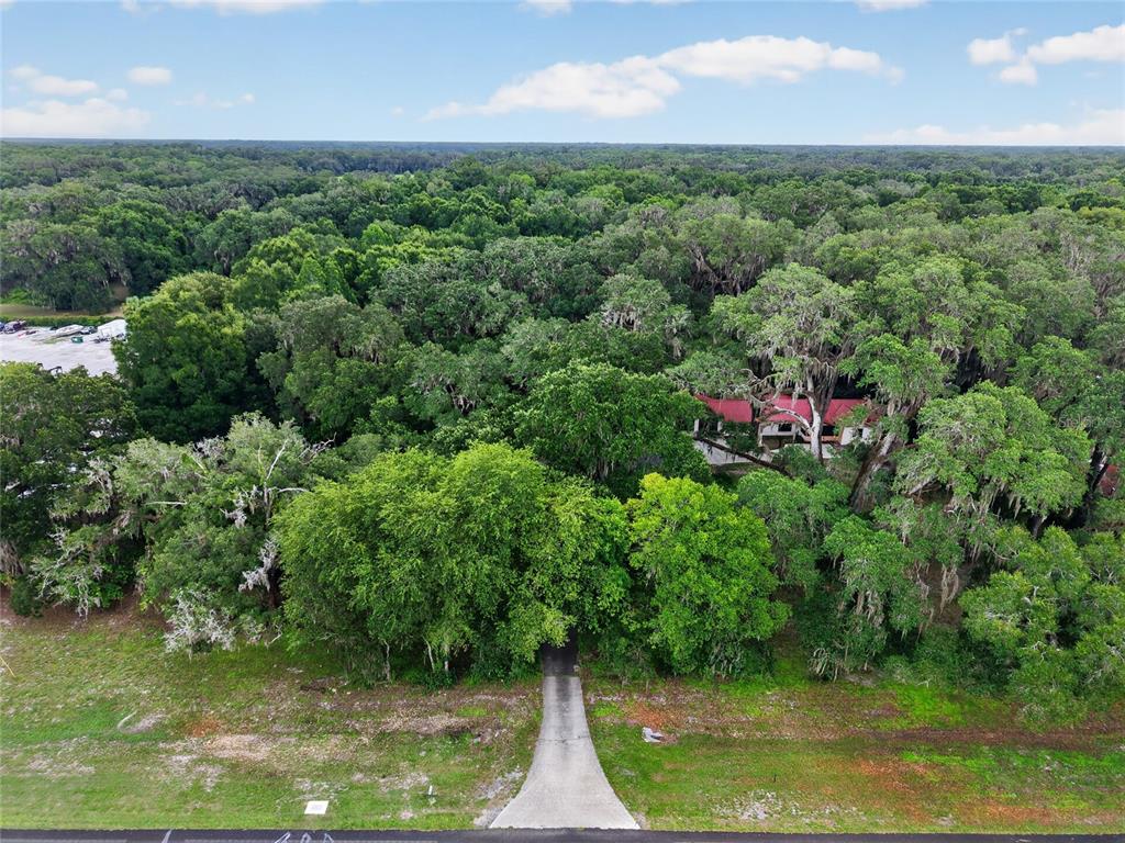 An aerial view shows a concrete driveway leading into a dense forest toward a house — 18741 N US HIGHWAY 301, CITRA, FL