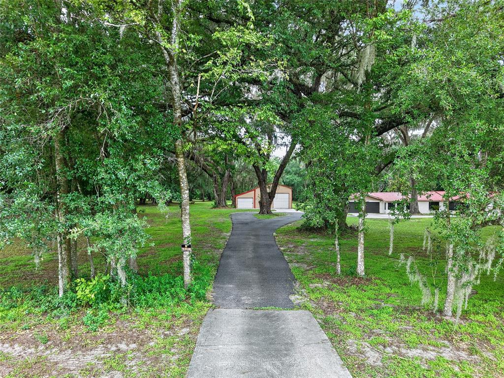 A paved driveway leads through a wooded yard toward a detached garage and a house — 18741 N US HIGHWAY 301, CITRA, FL