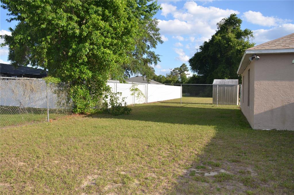 A grassy backyard features a chain-link fence, a small shed, and a large tree — 13785 SW 42ND COURT ROAD, OCALA, FL