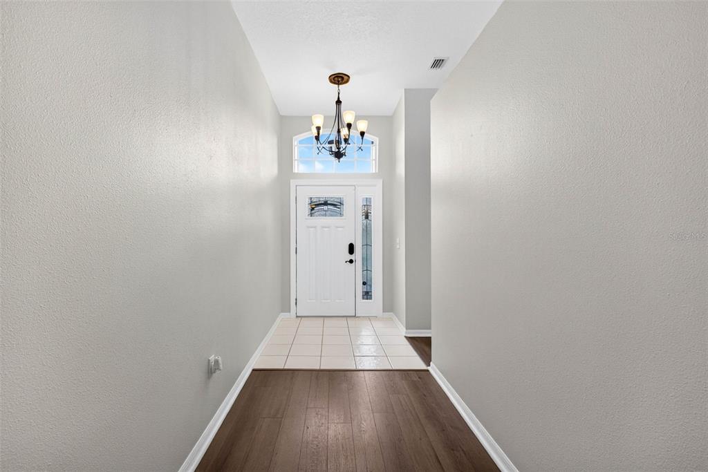 A bright entryway features wood-look flooring, a tiled landing, and a white front door — 29454 CROSSLAND DRIVE, WESLEY CHAPEL, FL