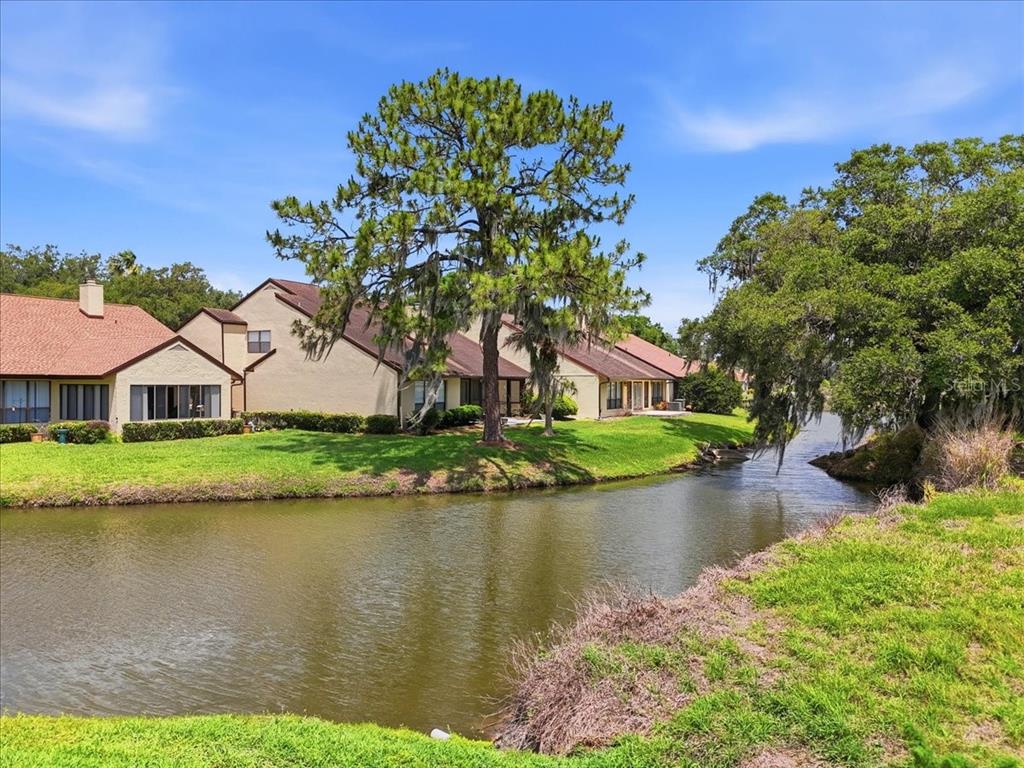 A view of a pond in front of several residential townhouses with large trees — 4135 CREEKWOOD LANE, MULBERRY, FL