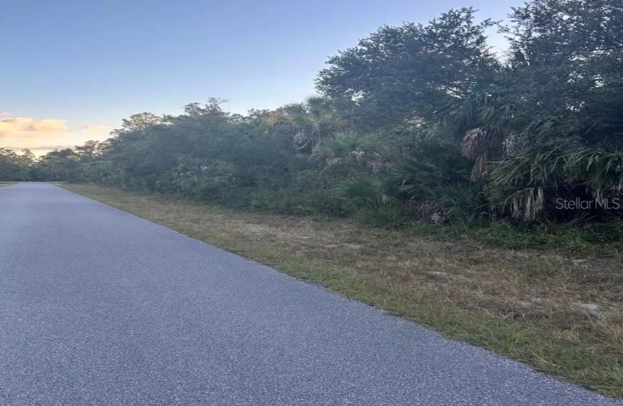 A paved road runs alongside a wooded lot with dense vegetation and palm trees — 279 JUPER STREET, PORT CHARLOTTE, FL