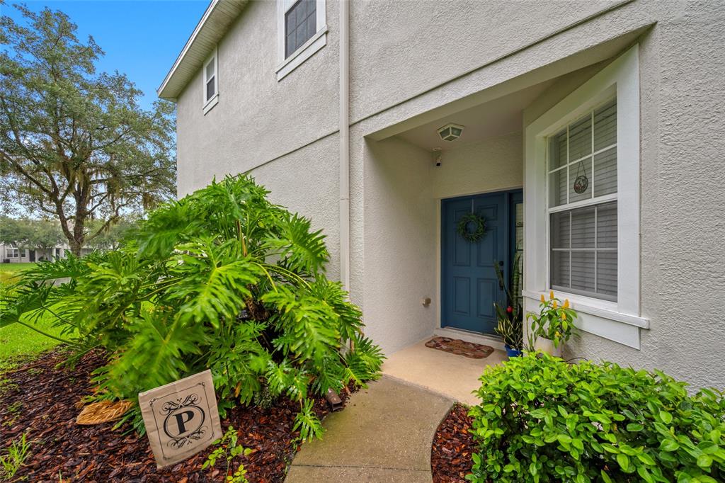 The exterior of a house features a blue front door, a walkway, and landscaping — 10302 STONE MOSS AVENUE, TAMPA, FL