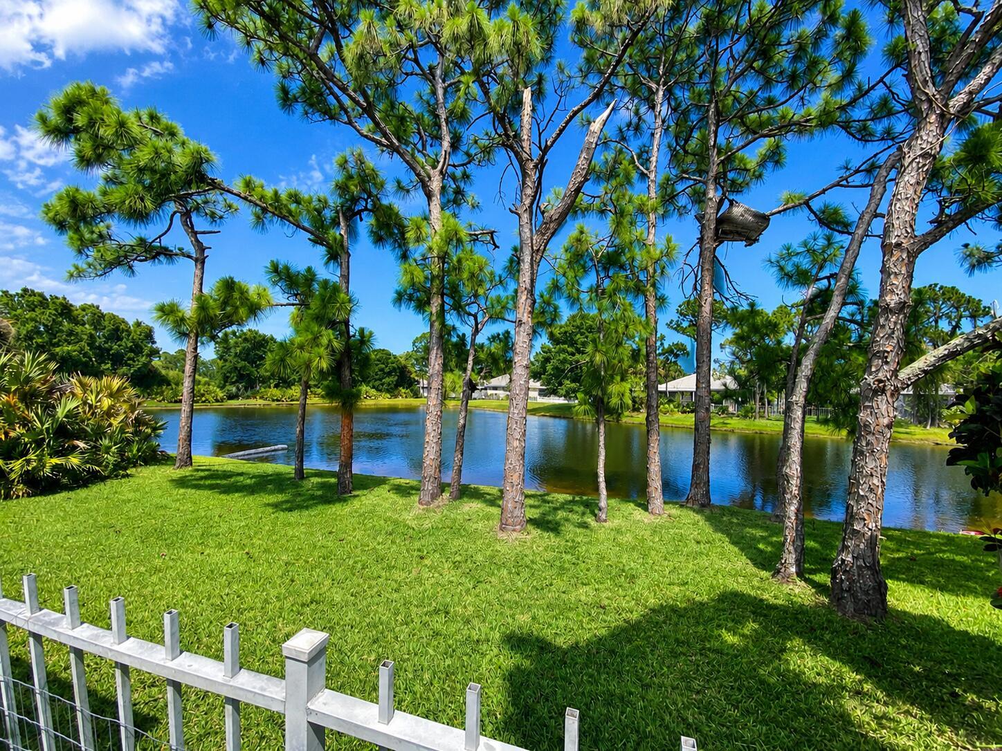 A grassy backyard features several pine trees overlooking a calm pond under a blue sky — 7529 SE Bay Cedar Circle, Hobe Sound FL 33455, HOBE SOUND, FL