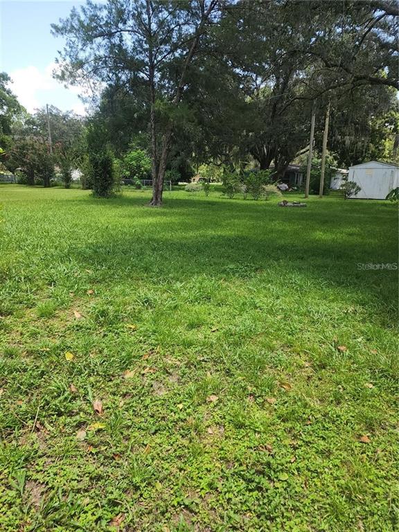 A large, grassy backyard features several mature trees and a small white storage shed — 230 MONROE AVENUE, BROOKSVILLE, FL