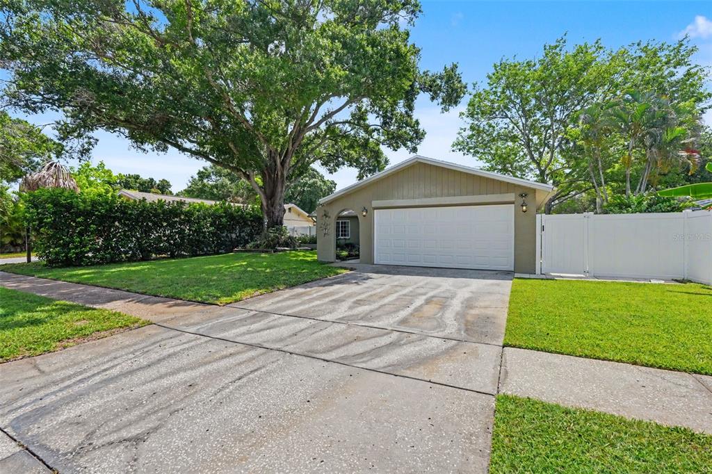 A single-story house with a white garage door, a concrete driveway, and a large tree — 12431 DEL VERDE DRIVE, LARGO, FL