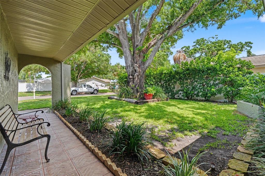 A covered patio with a metal bench overlooks a grassy yard with a large tree — 12431 DEL VERDE DRIVE, LARGO, FL