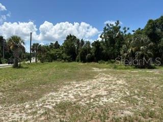 A vacant, grassy lot with scattered trees and shrubs under a blue sky — 801 S DIXIE AVENUE UNIT A, FRUITLAND PARK, FL
