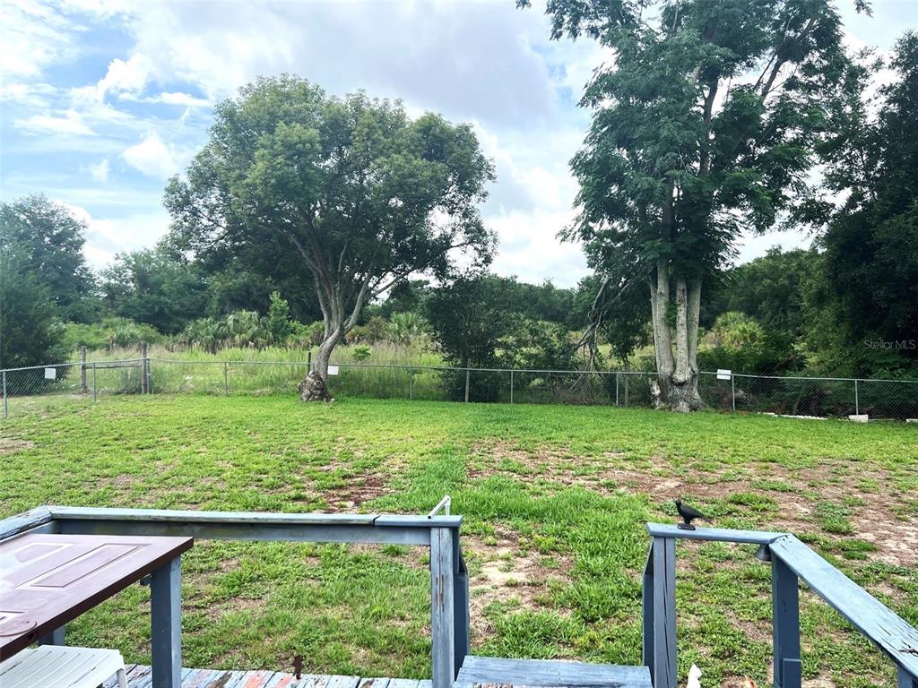 A view of a grassy backyard with a chain-link fence and mature trees — 4538 OAK STREET, FRUITLAND PARK, FL