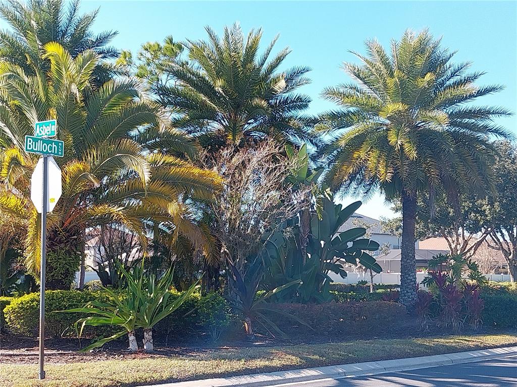 A stone monument sign for Asbel Creek & Estates stands beside a road with a fire hydrant — 10116 PERTHSHIRE CIRCLE, LAND O LAKES, FL