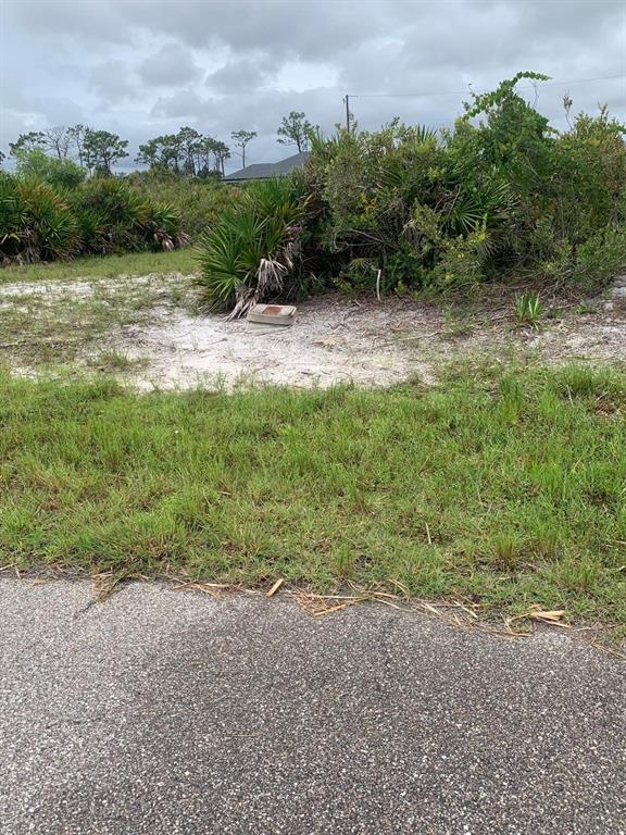 A vacant, sandy lot with native vegetation and a small utility box near the road — 6 AFT COURT, PLACIDA, FL