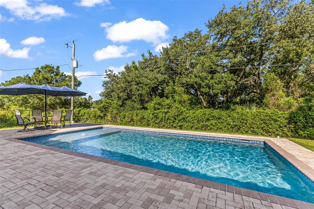 A rectangular swimming pool with a paver deck and patio umbrella sits before dense trees — 101 FITZSIMONS STREET, PORT CHARLOTTE, FL