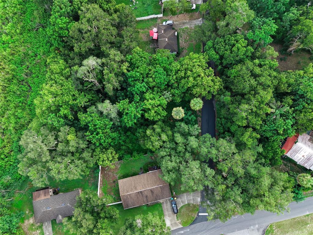 An aerial view shows two houses surrounded by dense trees and a paved driveway — E FRUITLAND STREET, FRUITLAND PARK, FL