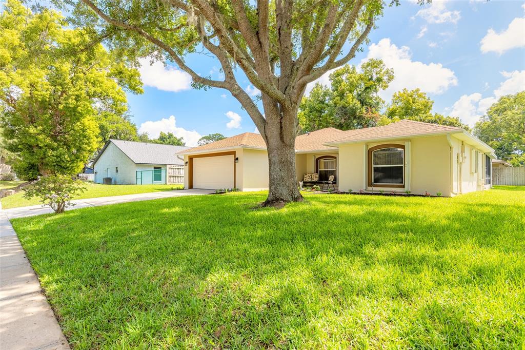 A single-story house with a tan exterior, a large front tree, and a green lawn — 2919 OAK LEA DRIVE, SOUTH DAYTONA, FL