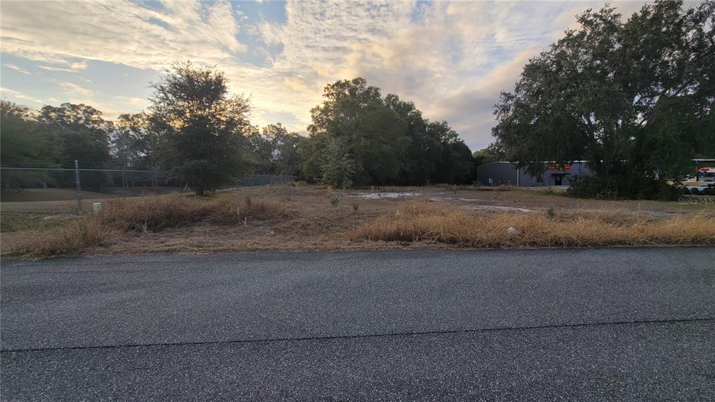 A vacant, grassy lot sits adjacent to a paved road with trees in the background — NW 246 STREET, HIGH SPRINGS, FL