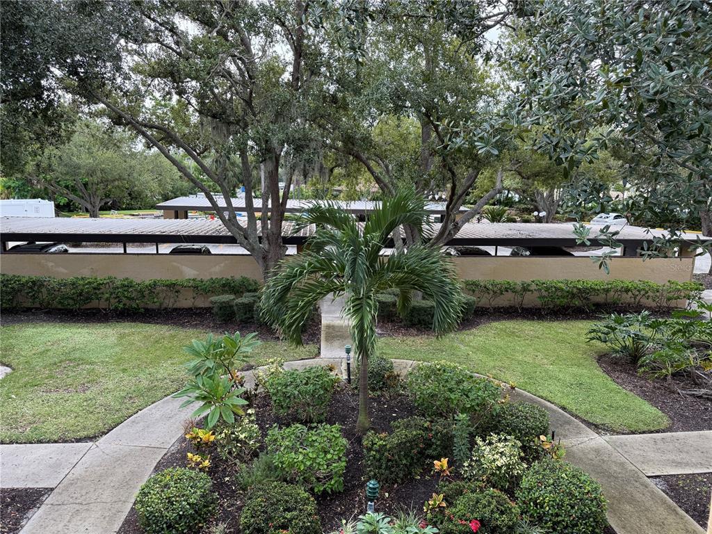 An elevated view of a landscaped garden with a palm tree and a covered parking area — 5770 ASHTON LAKE DRIVE UNIT 8, SARASOTA, FL