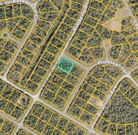 This is an aerial map showing a vacant residential lot highlighted in light blue — DIELS PLACE, NORTH PORT, FL