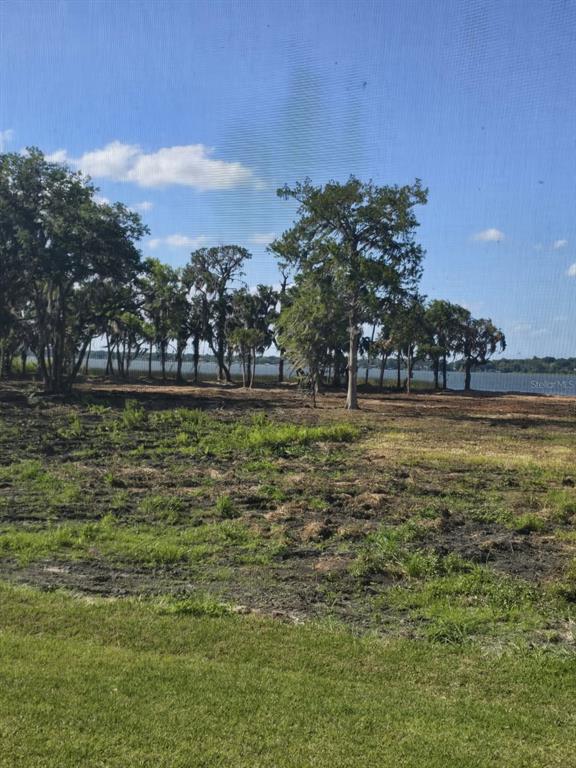 A view of a cleared grassy lot leading to a line of trees and a lake — BLUE HERON CIRCLE Lot K-10, TAVARES, FL