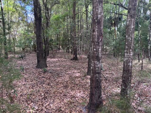 1.77 acres NW 73 STREET