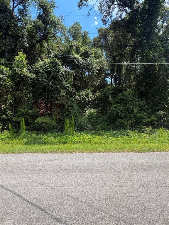 A paved road runs in front of a densely wooded, undeveloped lot — 0000 NW 166TH STREET, TRENTON, FL